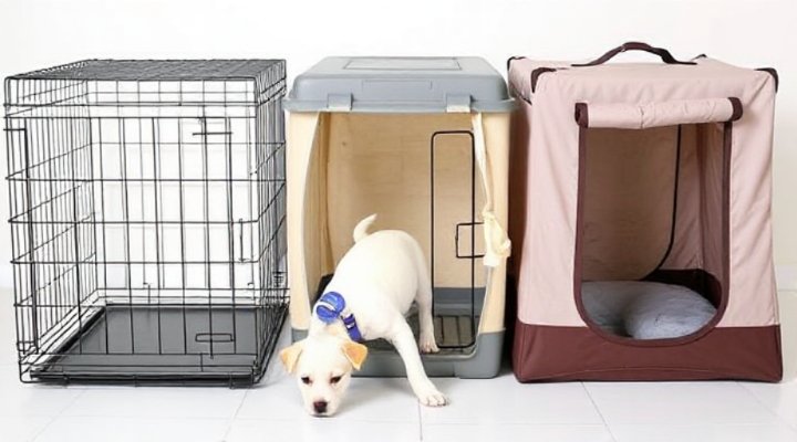 Various types of crates for puppies including wire, plastic, and soft-sided crates