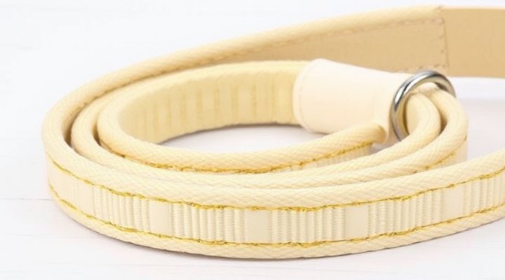 Padded leash for small breed puppies