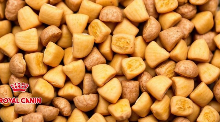 Close-up of Royal Canin dog food ingredients