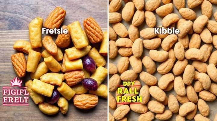 Comparison of fresh and dry dog food
